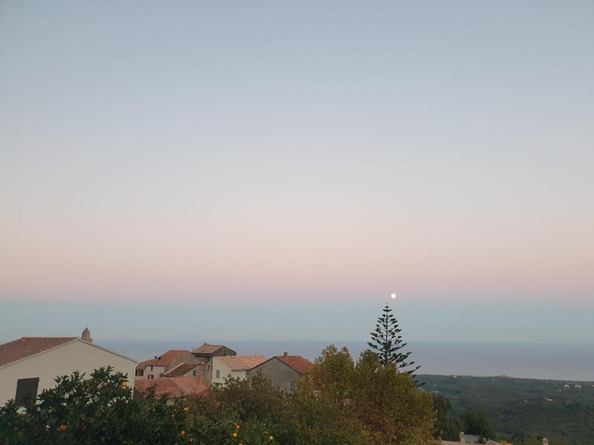 Chambres D'Hote A Caserella, Maison De Village Renovee Avec Vue Sur Mer Valle-di-Campoloro Esterno foto