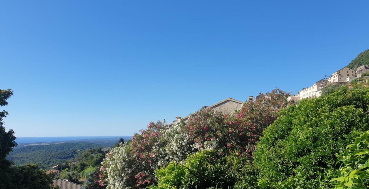 Chambres D'Hote A Caserella, Maison De Village Renovee Avec Vue Sur Mer Valle-di-Campoloro Esterno foto