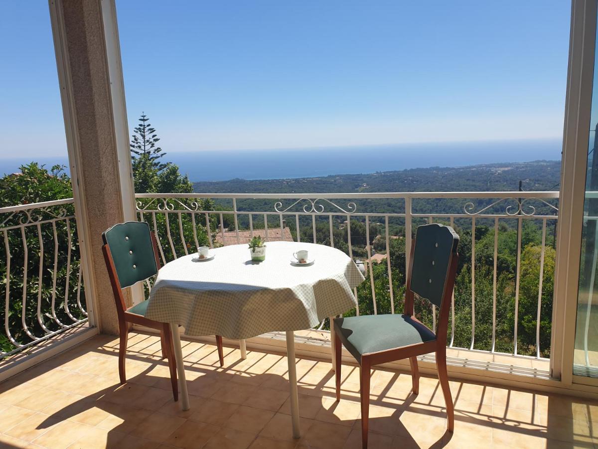 Chambres D'Hote A Caserella, Maison De Village Renovee Avec Vue Sur Mer Valle-di-Campoloro Esterno foto
