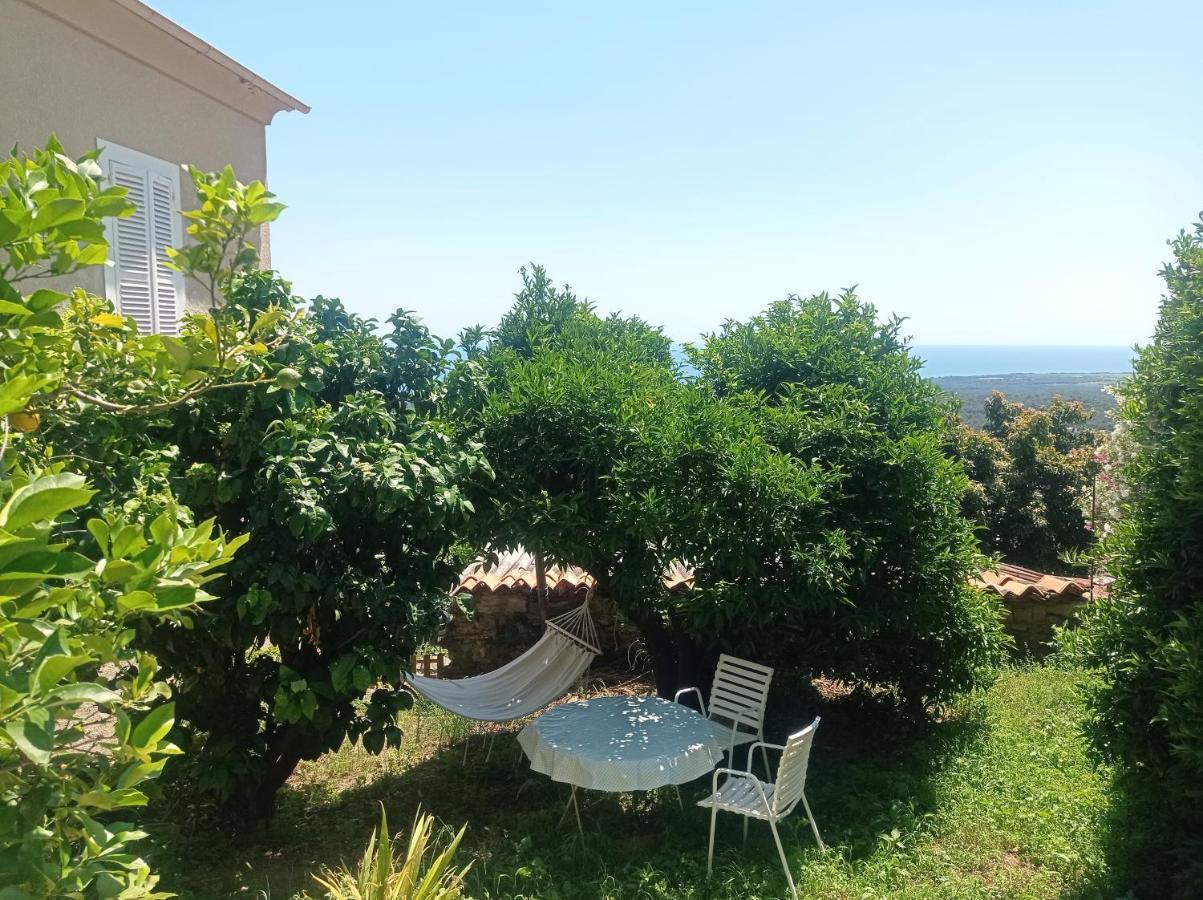 Chambres D'Hote A Caserella, Maison De Village Renovee Avec Vue Sur Mer Valle-di-Campoloro Esterno foto